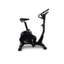 Vélo d'appartement BH Artic Dual